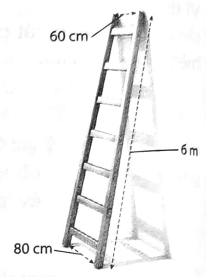 Hình minh họa câu hỏi